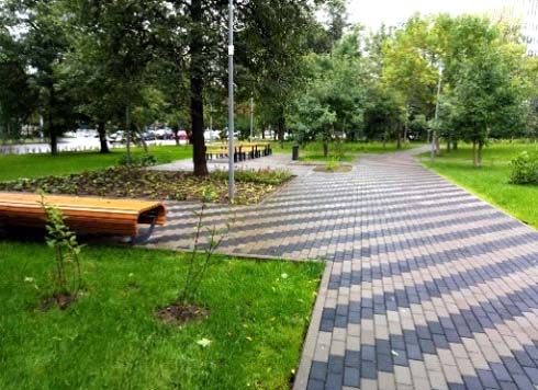 Сорняки на плитке: как избавиться от травы