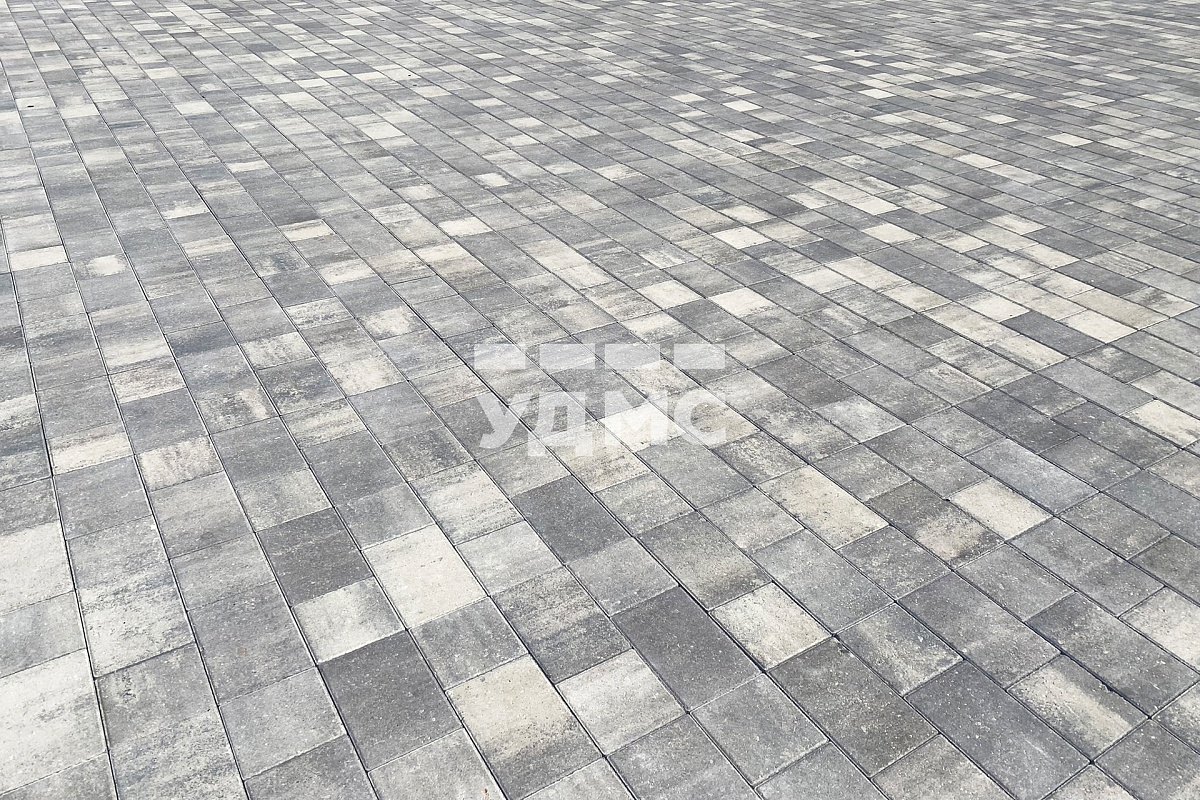 Ракушечник