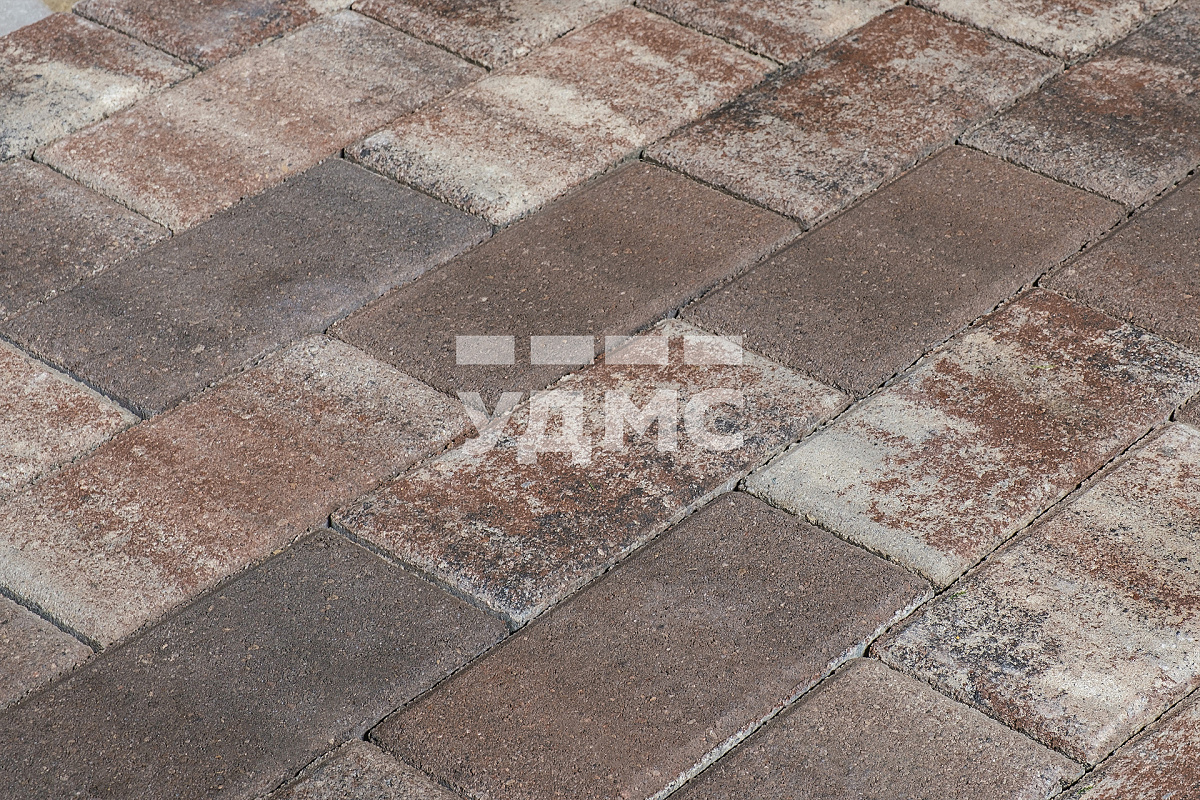 Ракушечник