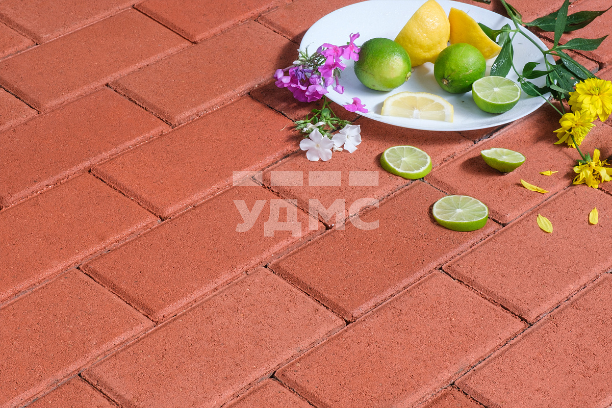 Красная плитка на белом цементе