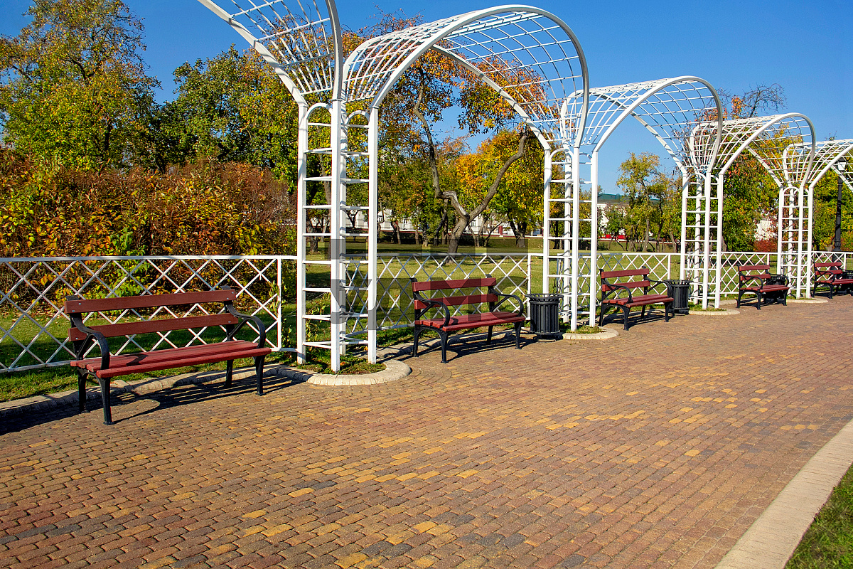 Винные листья