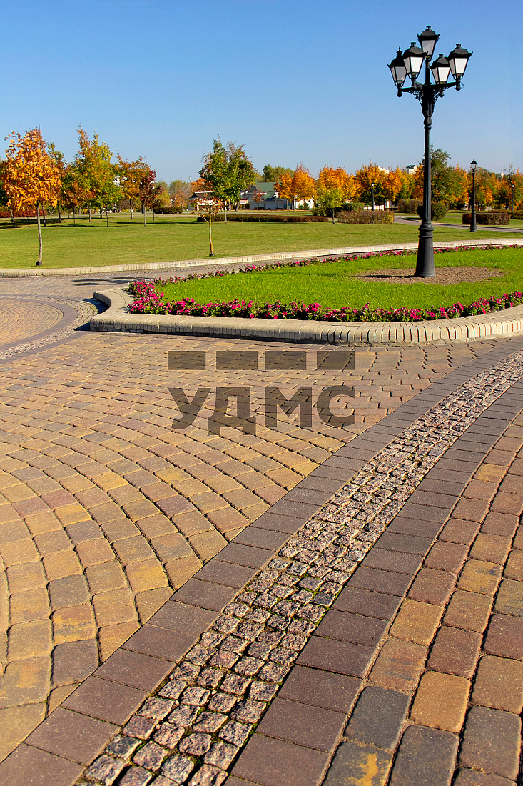 Винные листья