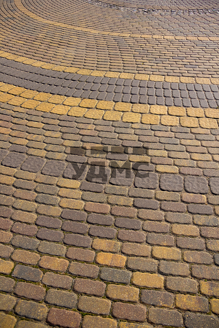 Винные листья