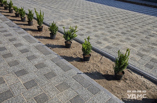 Как сделать раскладку тротуарной плитки с учетом особенностей ландшафта?