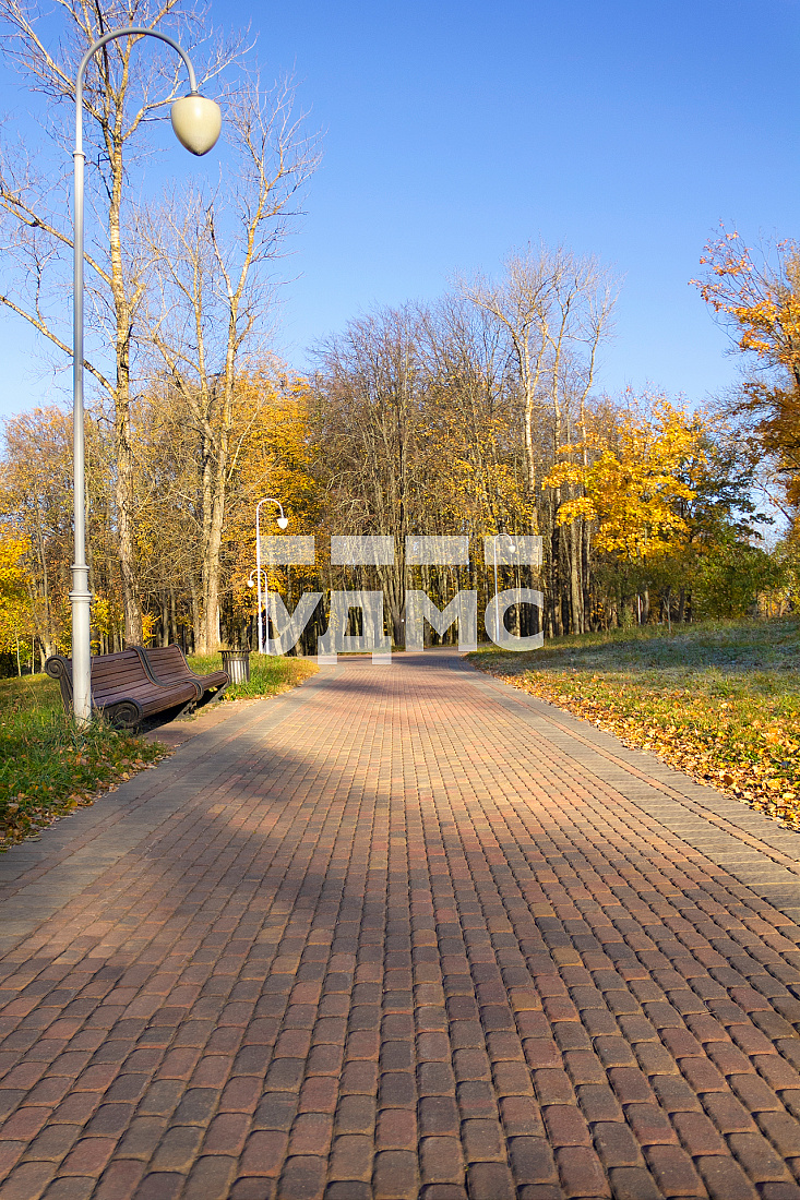 Осенние листья