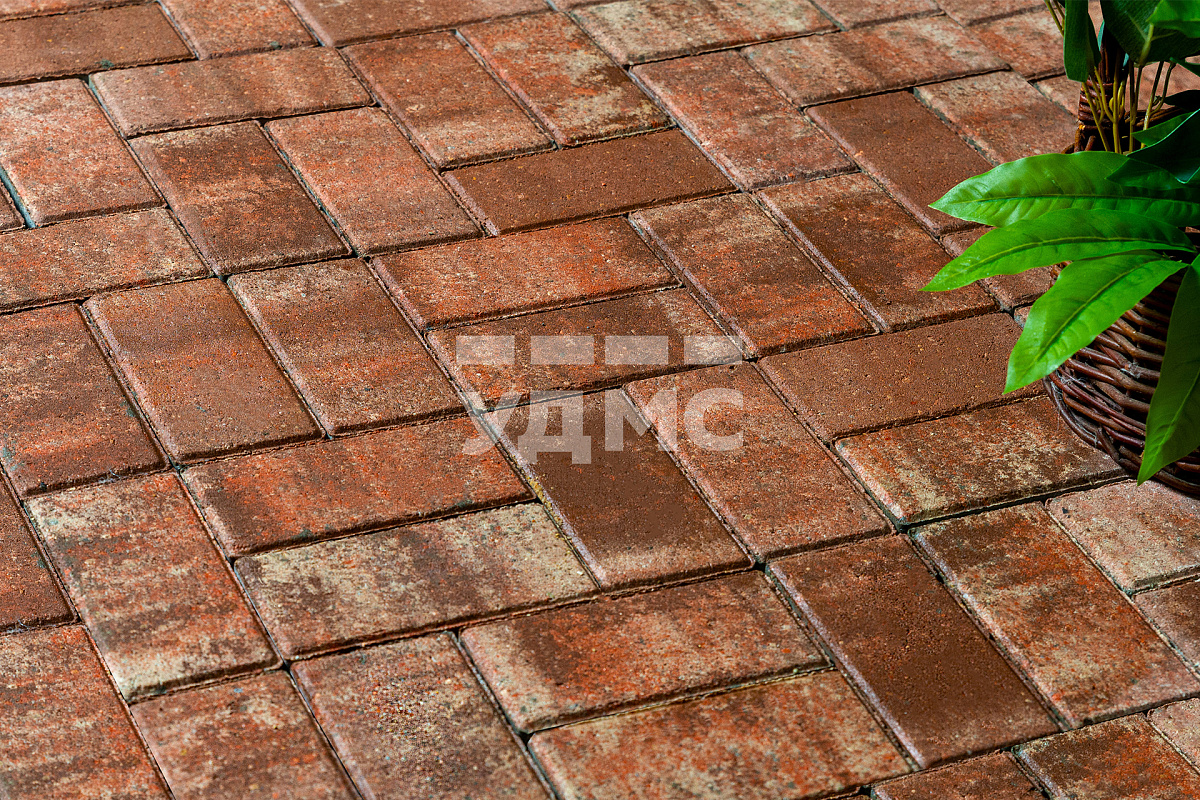 Старая Италия