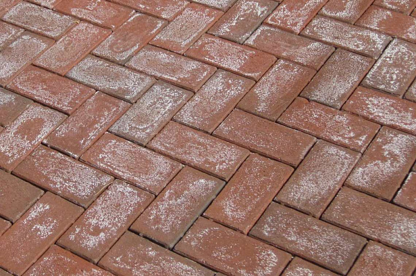 Высолы — это «соль на ране» или «у природы свои законы»