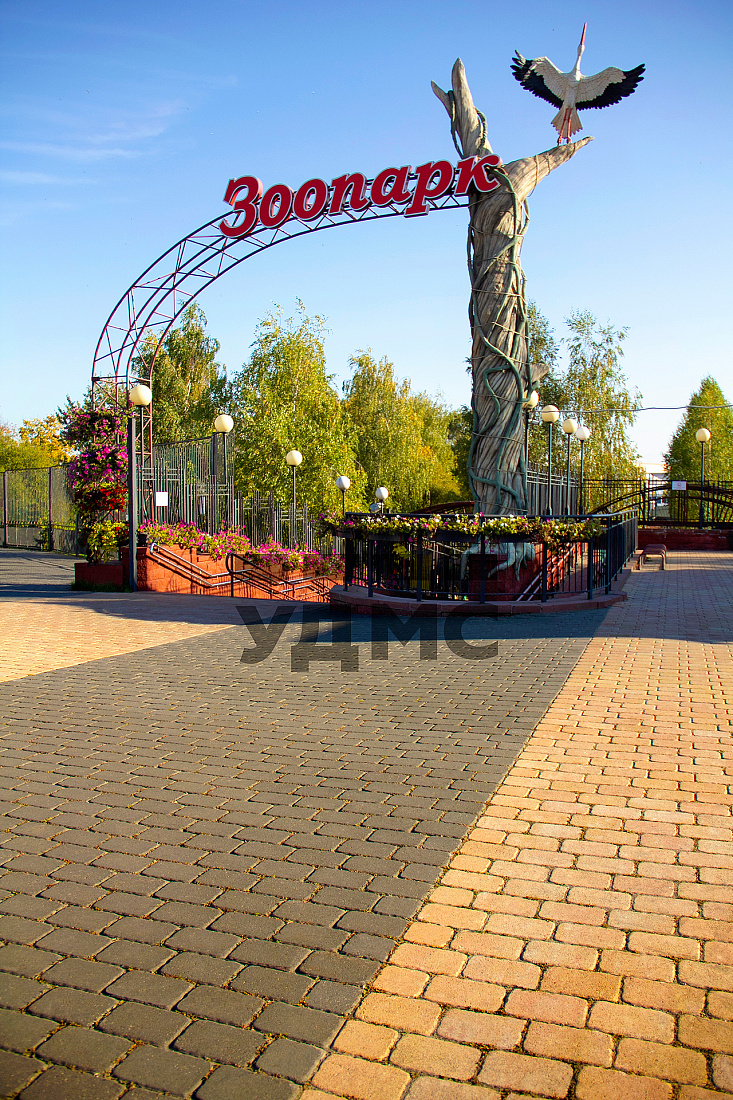 Антинея