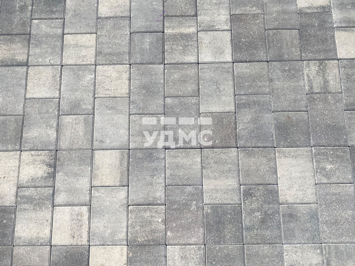 Ракушечник