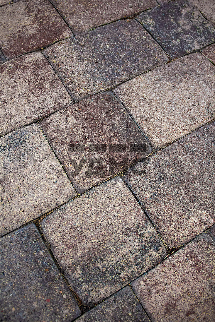 Ракушечник