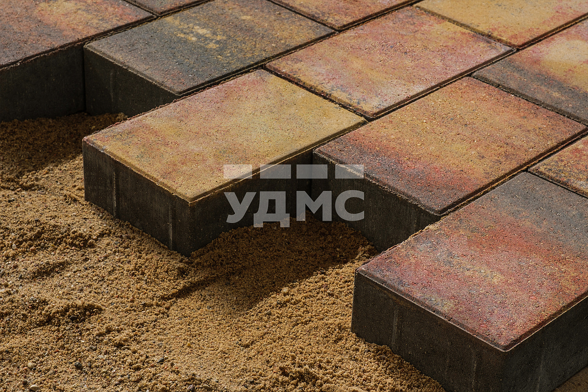 Осенние листья