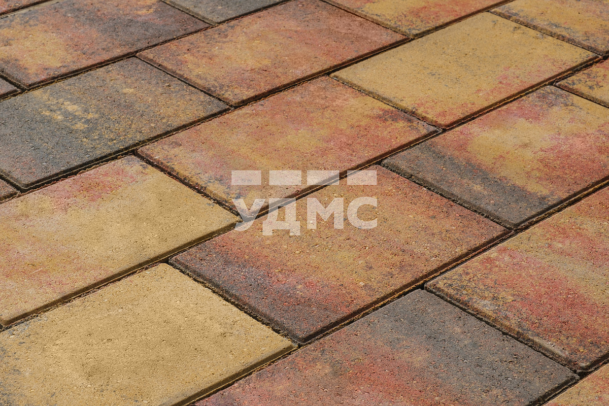 Осенние листья